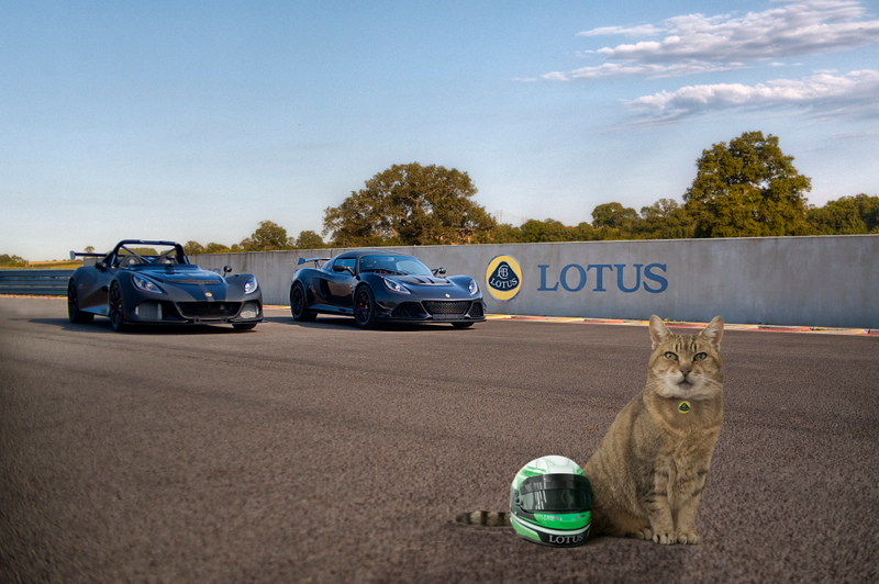 Illustration for article titled Lotus Sent An April Fools' Press Release About Race Helmets For Cats And I'll Take Three